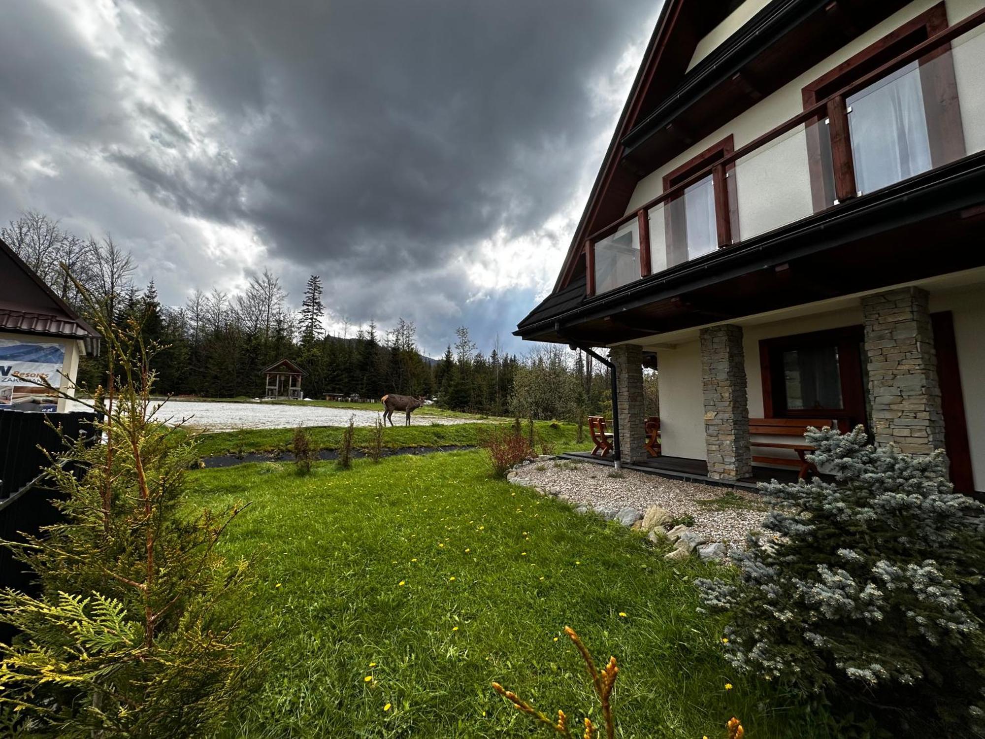 Apartamenty Willa Nika Zakopane Exterior foto